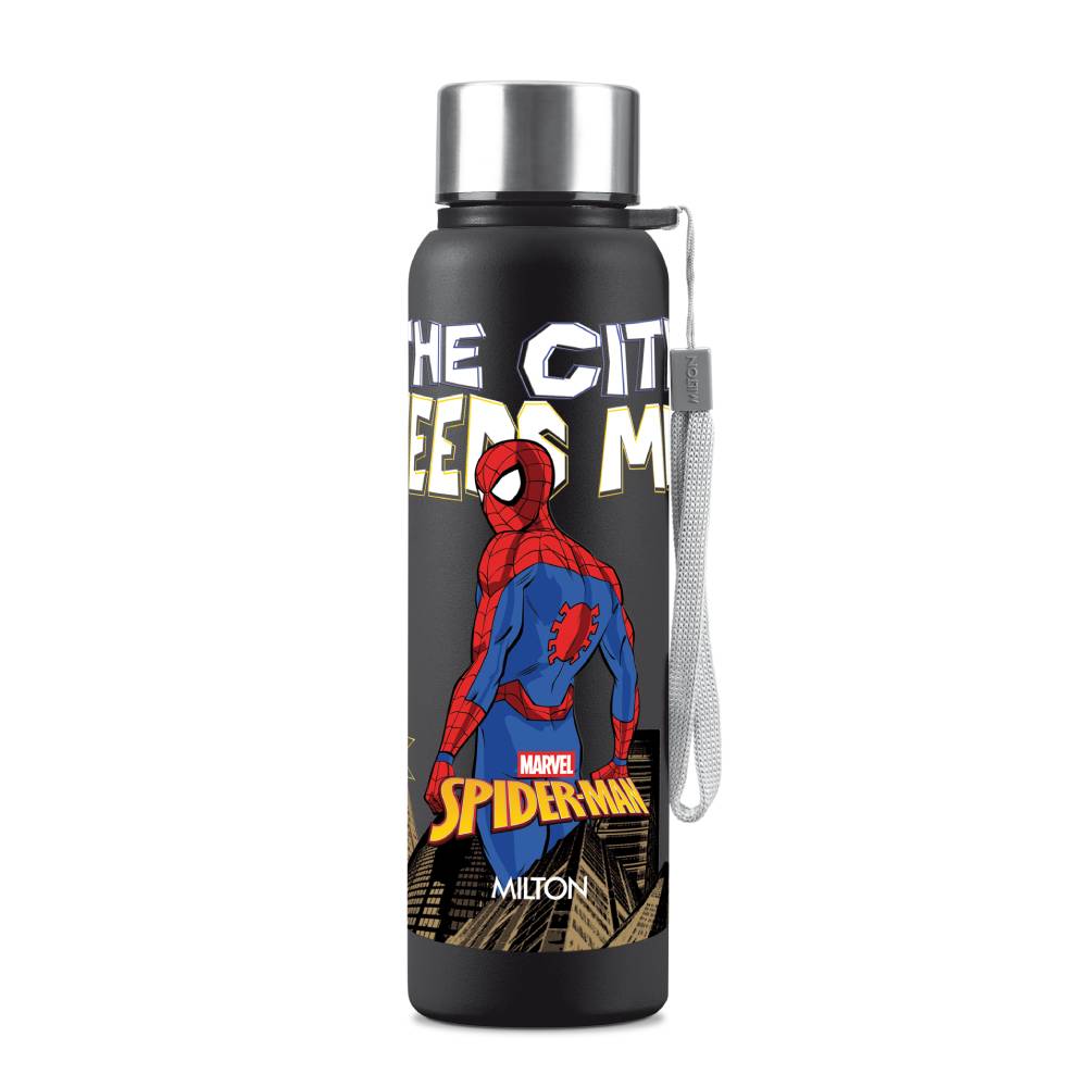 Marvel Brim Stainless Steel Bottle (Milton)