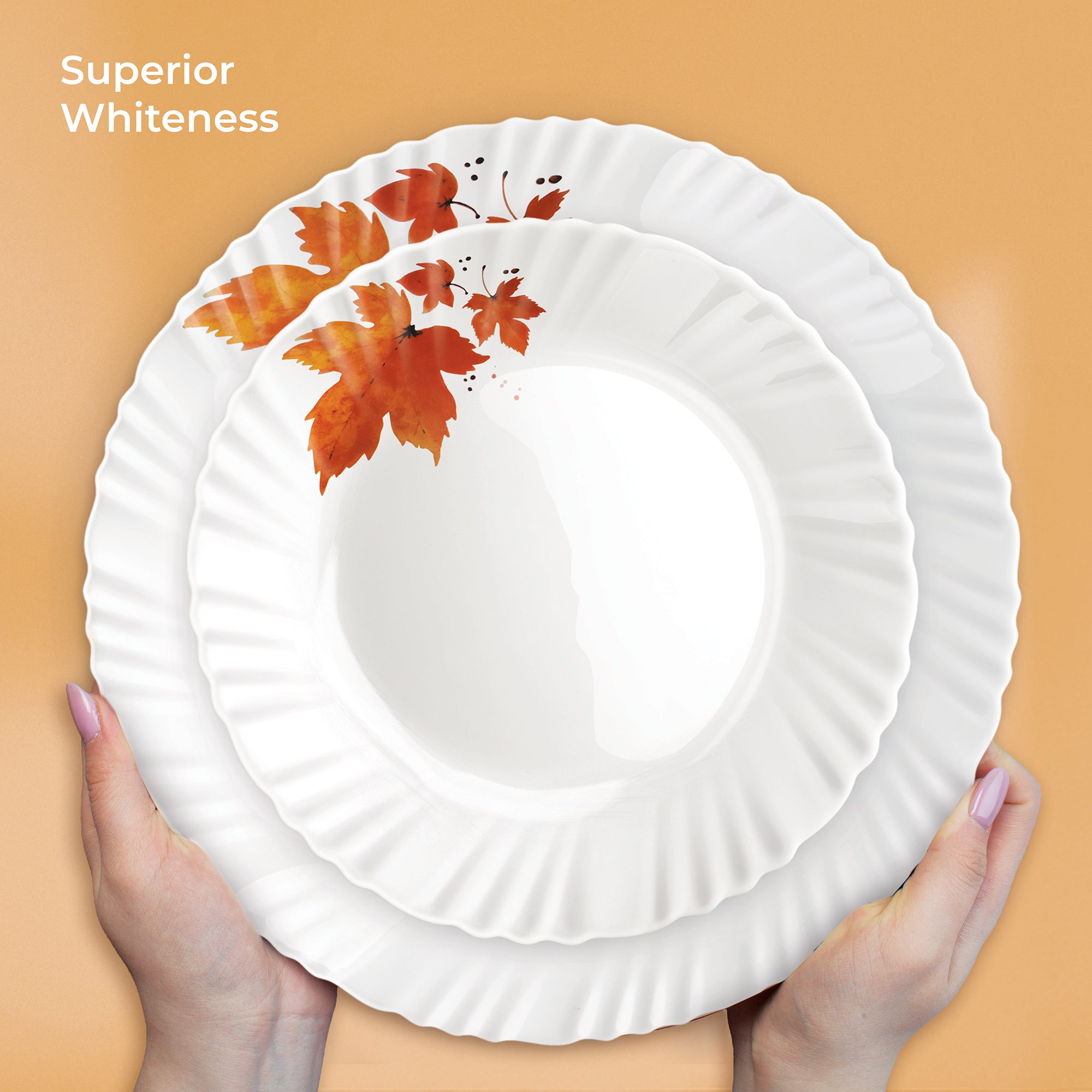 Aurelia Collection Dinner Set - MAPELLE