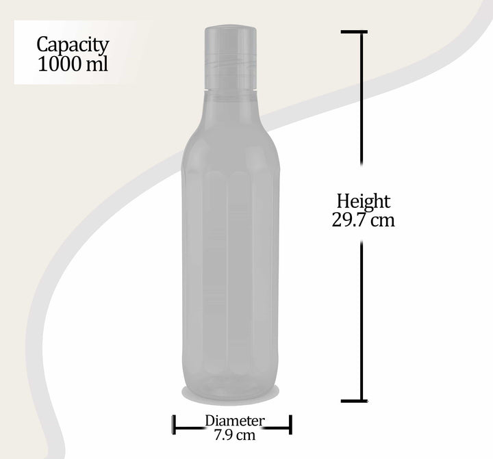 Prism Pet Water Bottle