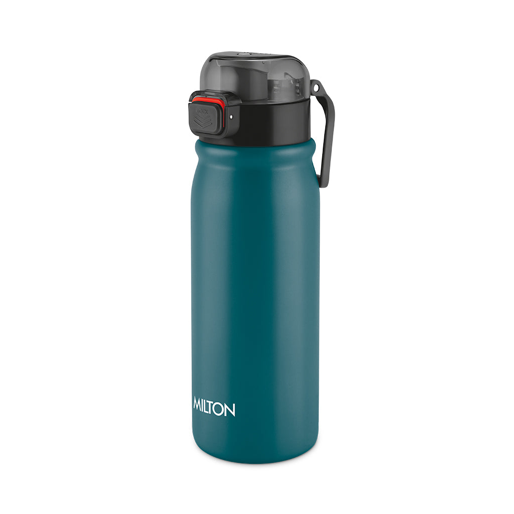 Reva Stainless Steel Bottle (Milton)
