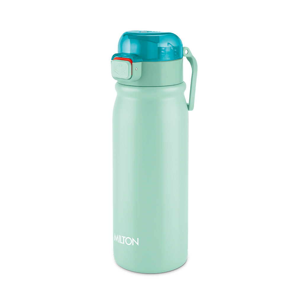 Reva Stainless Steel Bottle (Milton)