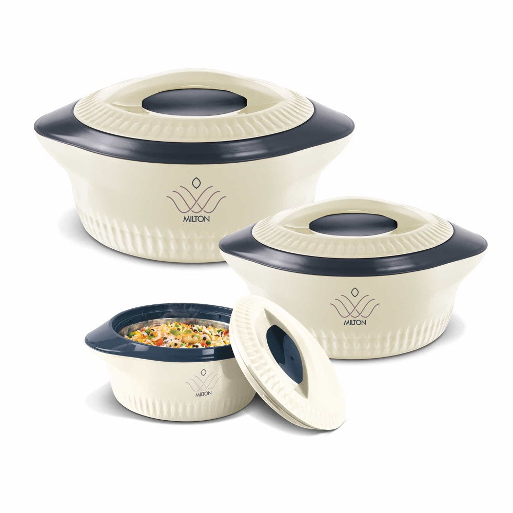 Milton electric hotsell rice cooker