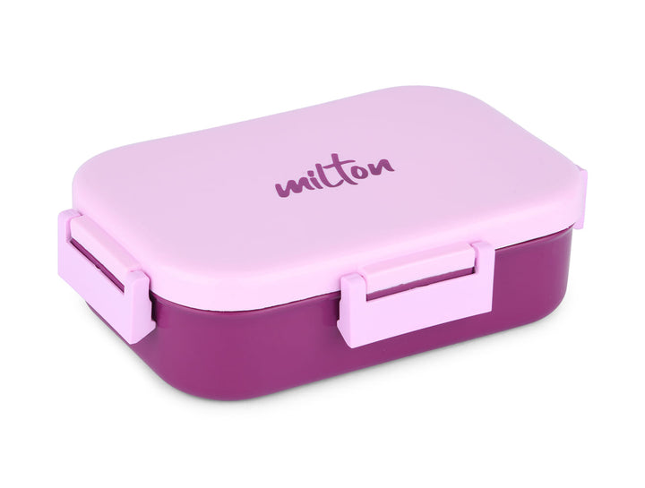 Senior Flatmate Insulated Lunch Box