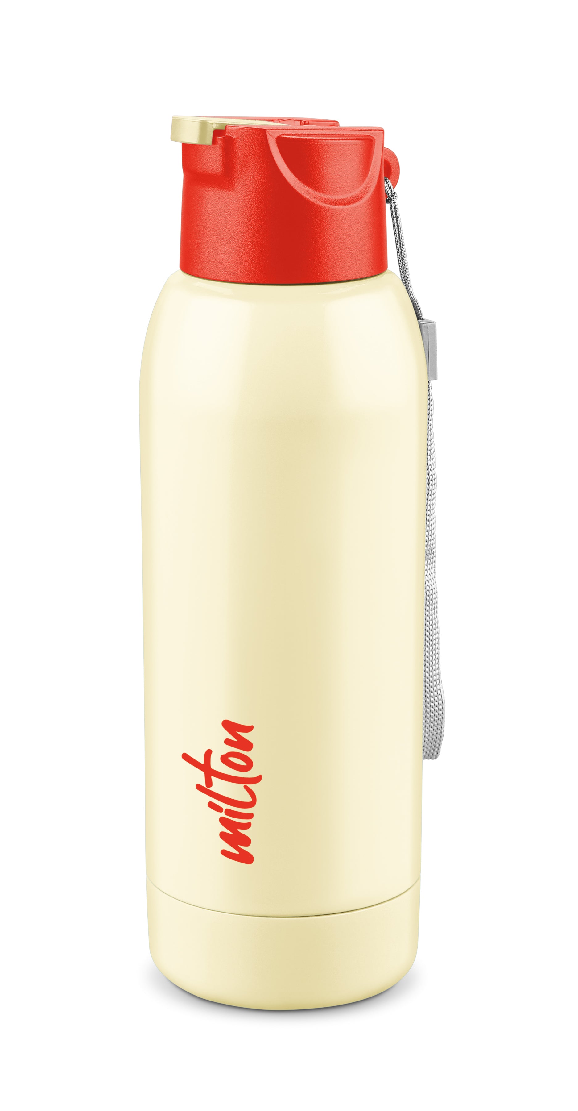 Steel Swag Insulated Water Bottle (Milton)