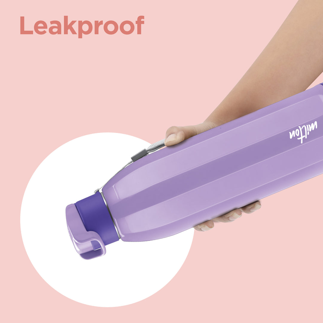 Steel Meridian Insulated Water Bottle (Milton)