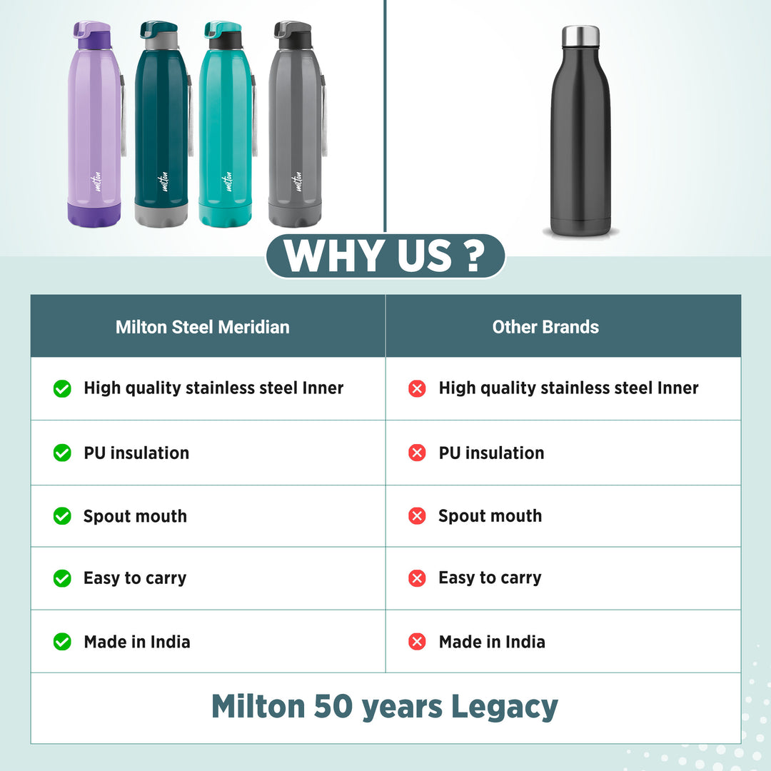 Steel Meridian Insulated Water Bottle (Milton)