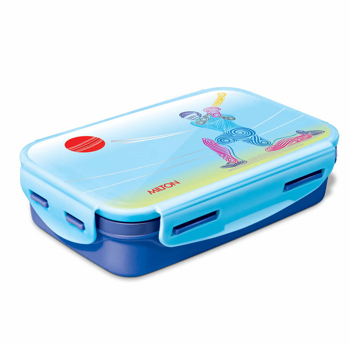 Steely Deluxe Insulated Lunchbox
