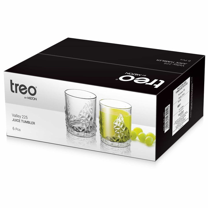 Valley Juice Tumbler (Treo by Milton)