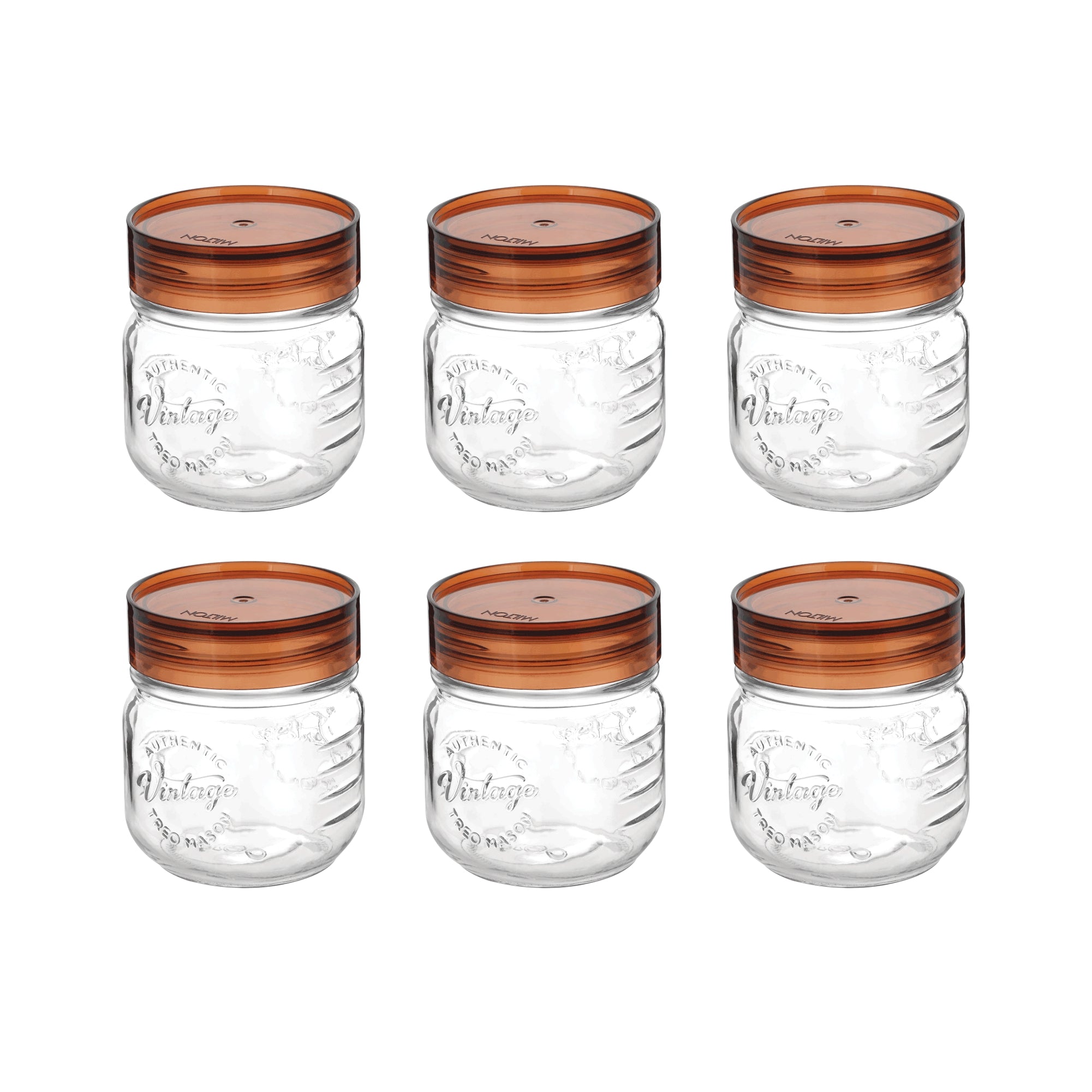 Vintage Glass Jar Set (Treo by Milton)