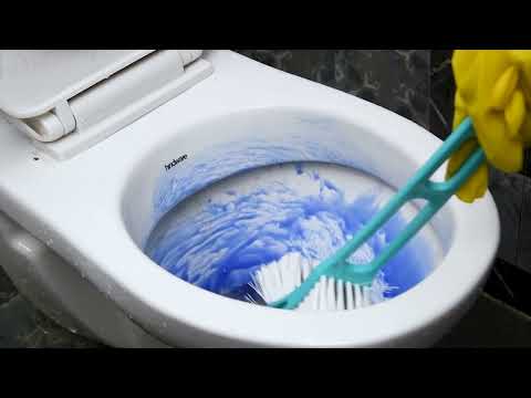 Buy Spotzero Disinfectant Toilet Cleaner 1 L Online at Best Price